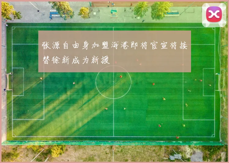 张源自由身加盟海港即将官宣将接替徐新成为新援