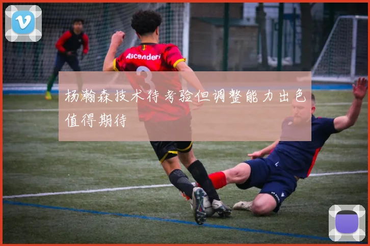 杨瀚森技术待考验但调整能力出色值得期待